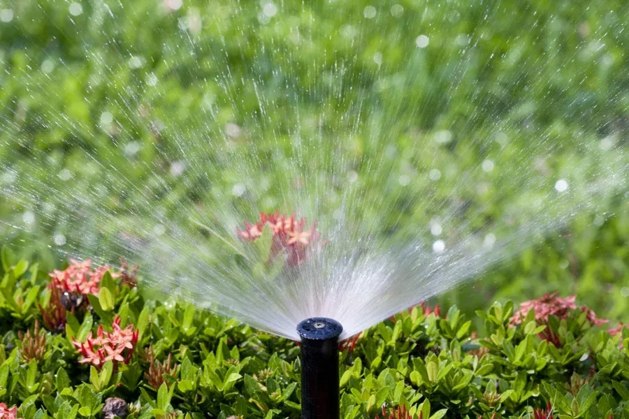 Sprinkler Services
